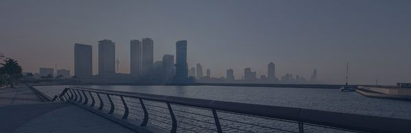 Sri Lanka Port City Regulations 2025 – Tax & Investment Rules
